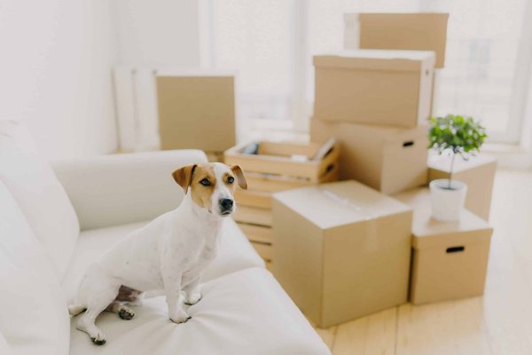 What Are the Most Comfortable Yet Chic Fabric Options for Office Seating?